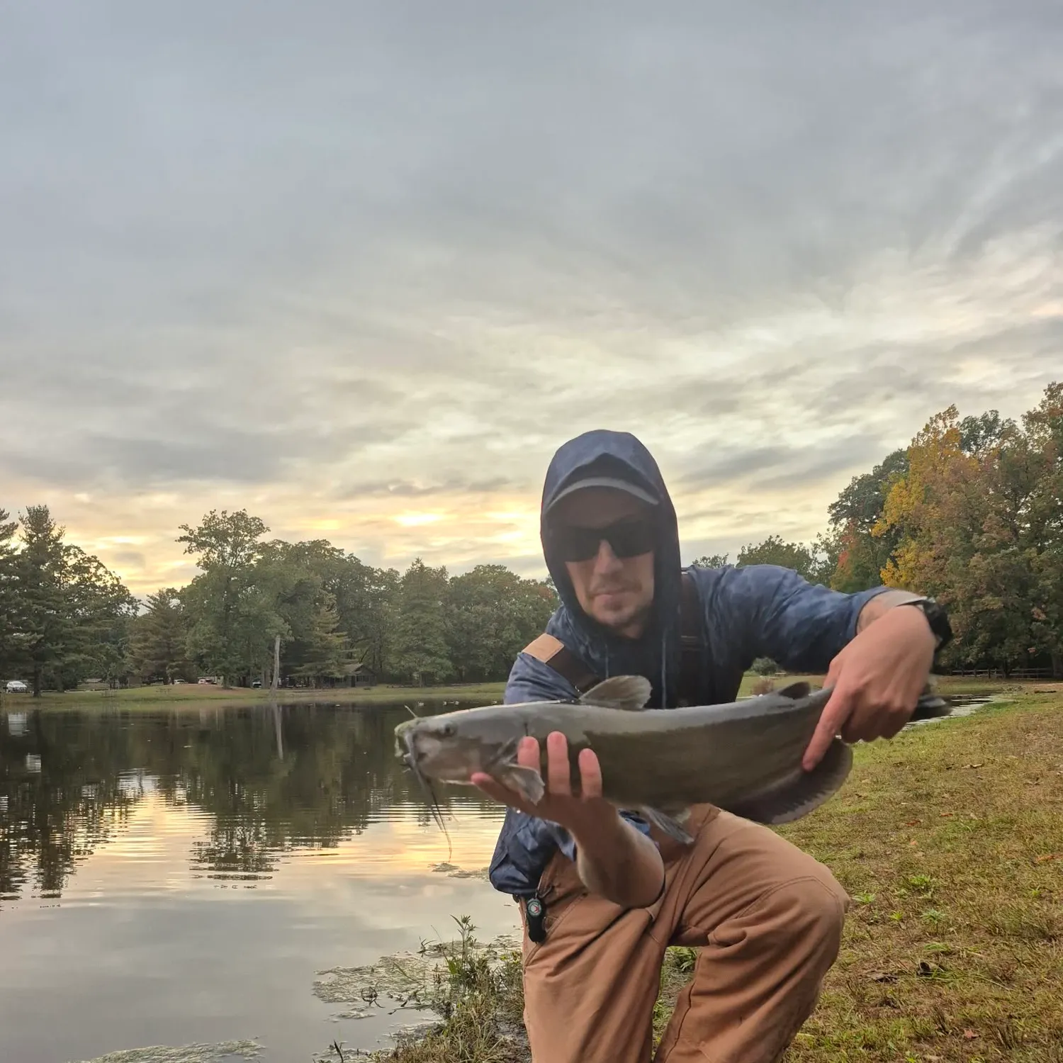 Channel catfish caught on Fishbrain