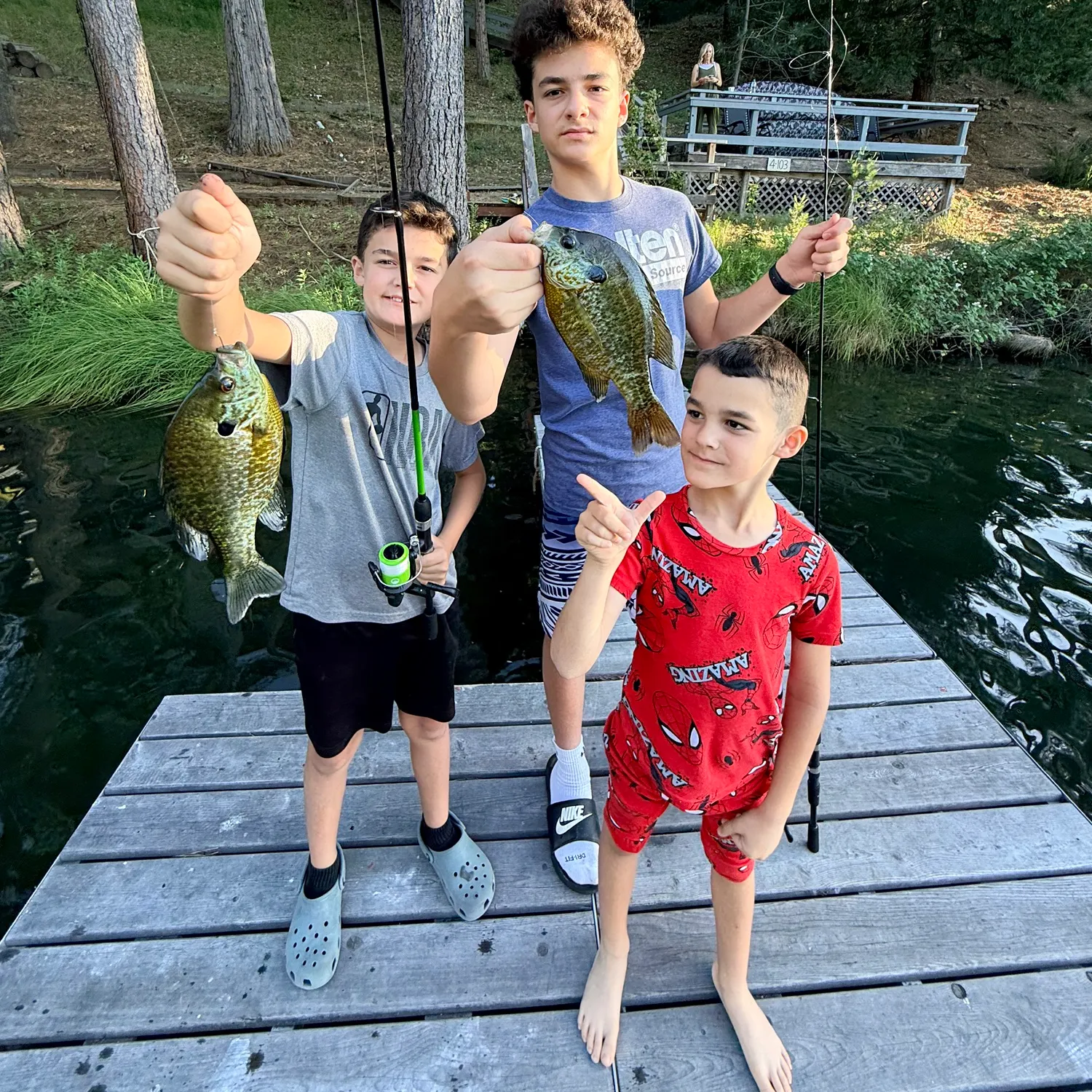 recently logged catches