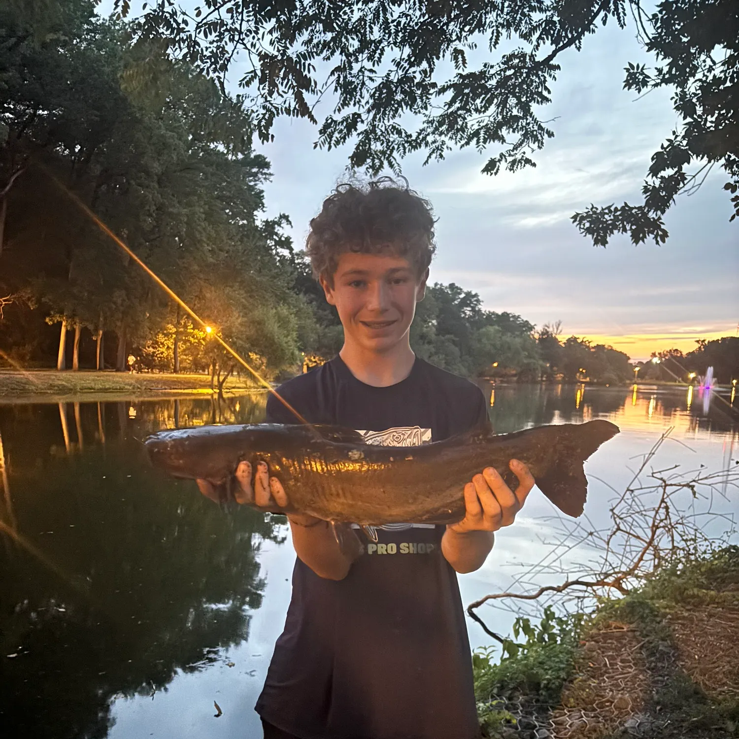 Channel catfish caught on Fishbrain