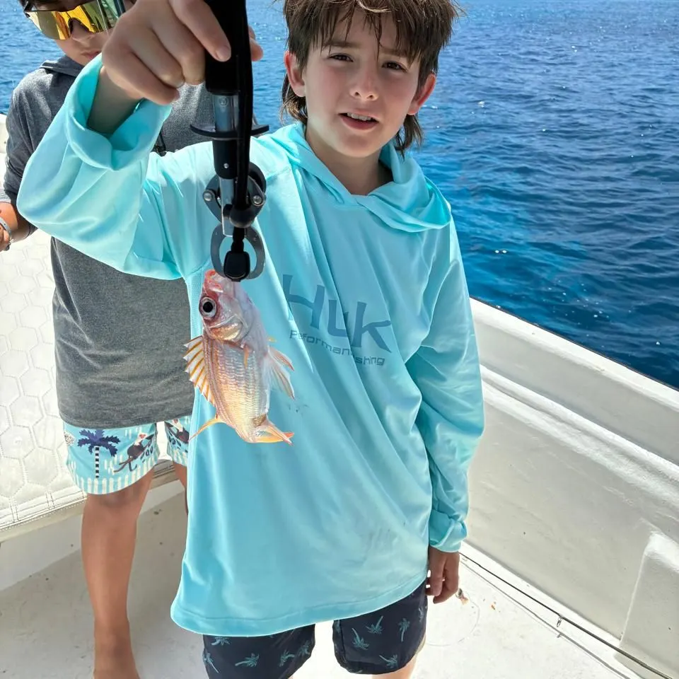 The most recent Ruby snapper catches on Fishbrain