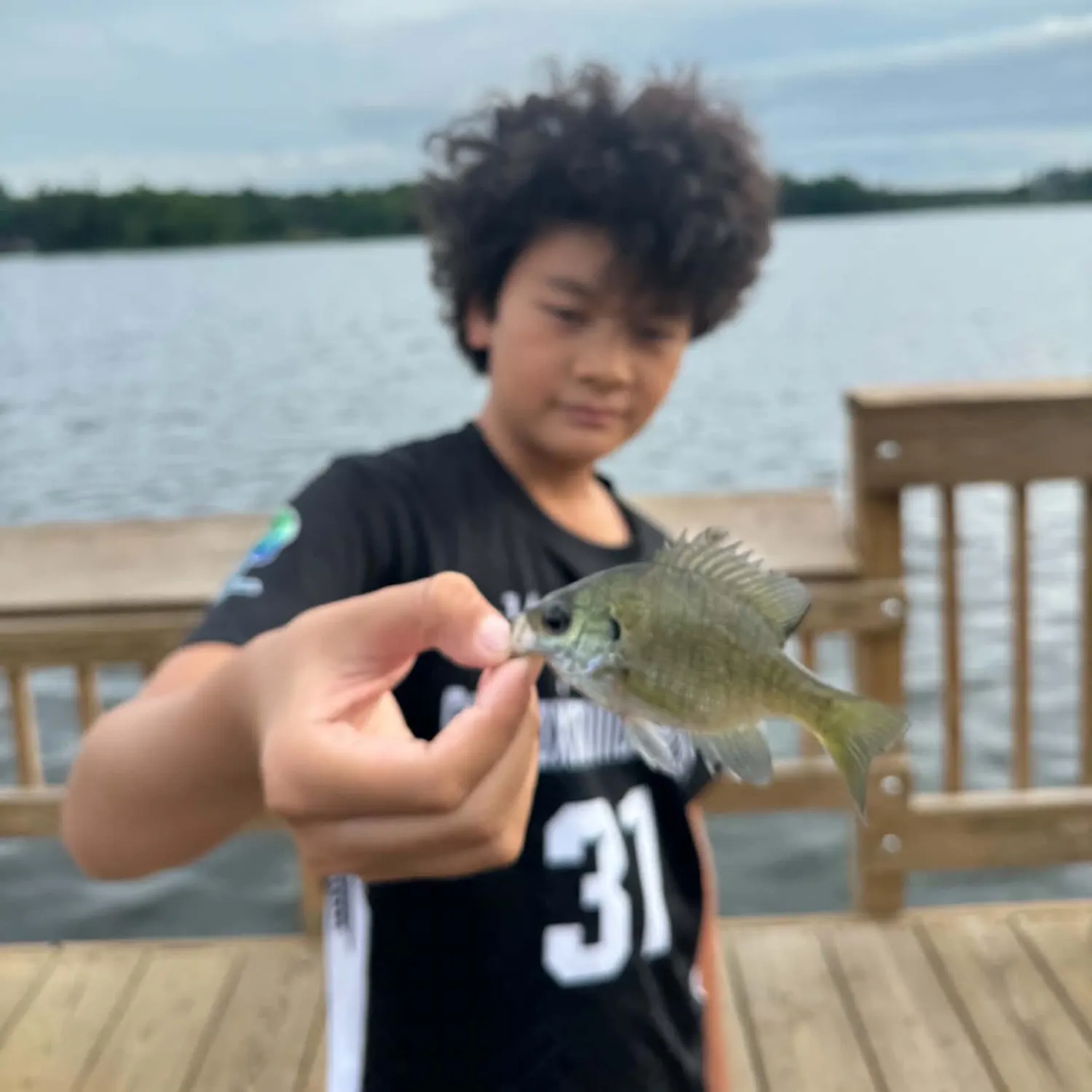 Bluegill caught on Fishbrain
