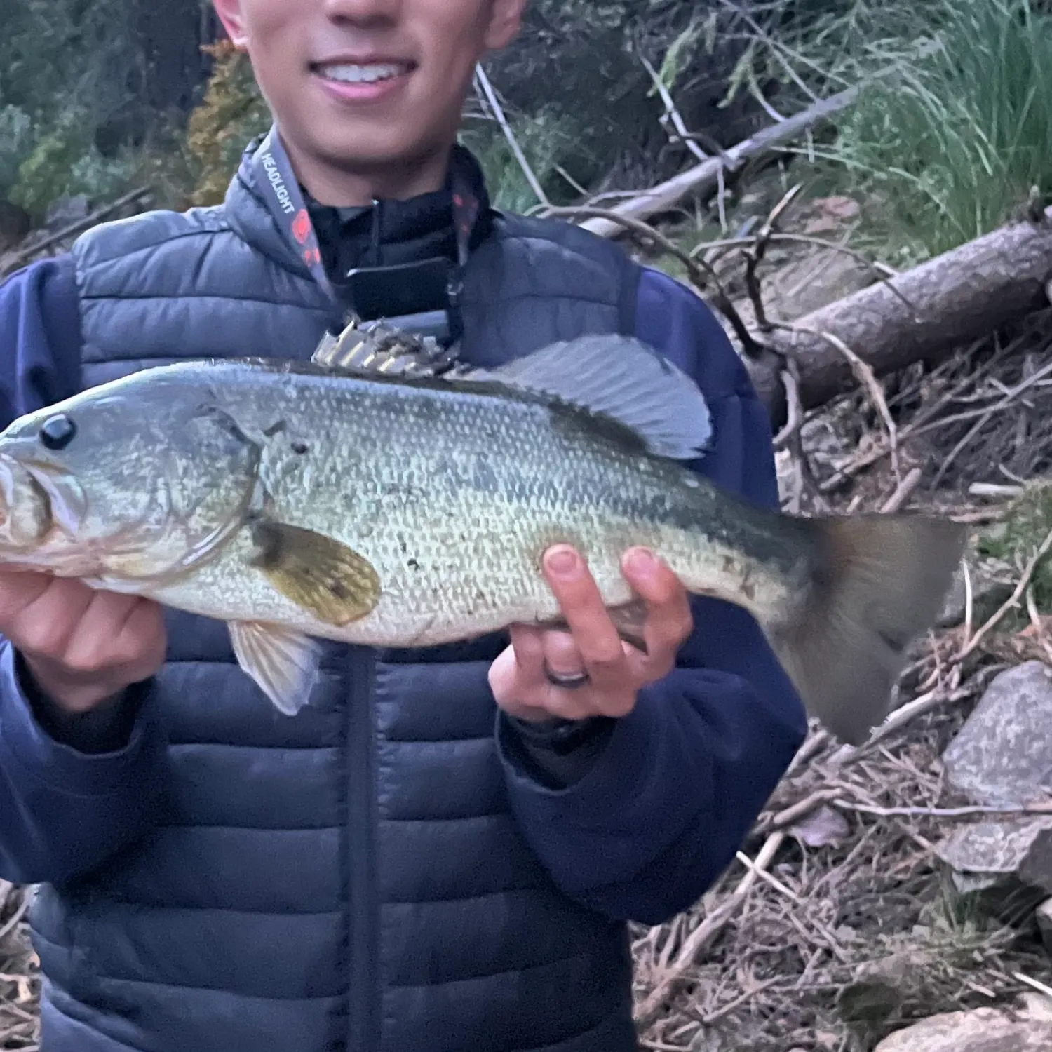 Largemouth bass caught on Fishbrain