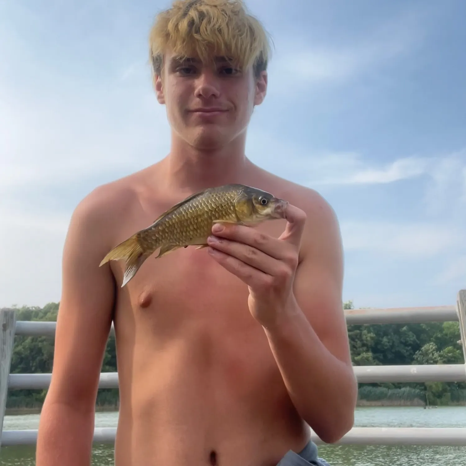 The most recent Prussian carp catches on Fishbrain
