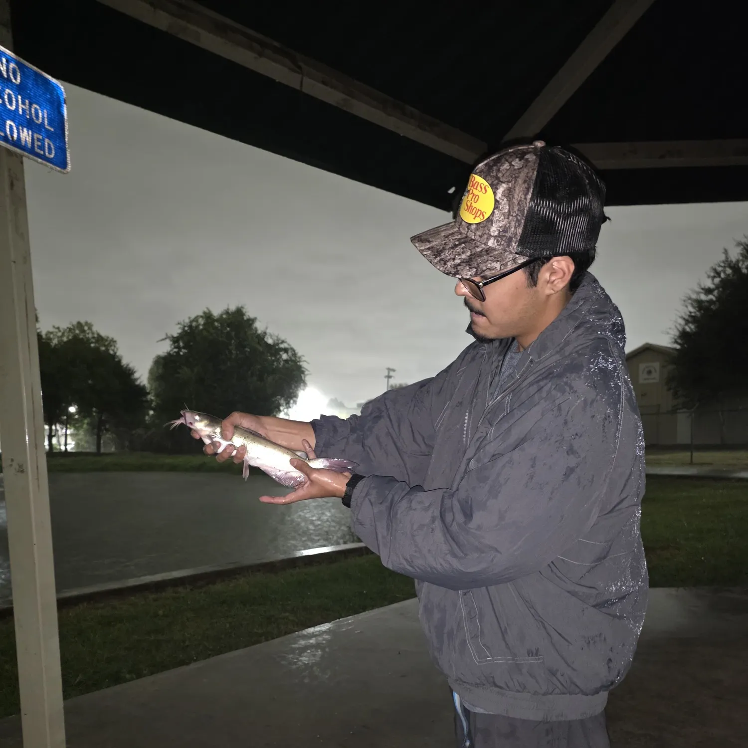 Channel catfish caught on Fishbrain
