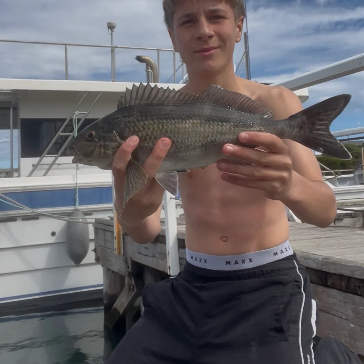 The most recent Dusky morwong catches on Fishbrain
