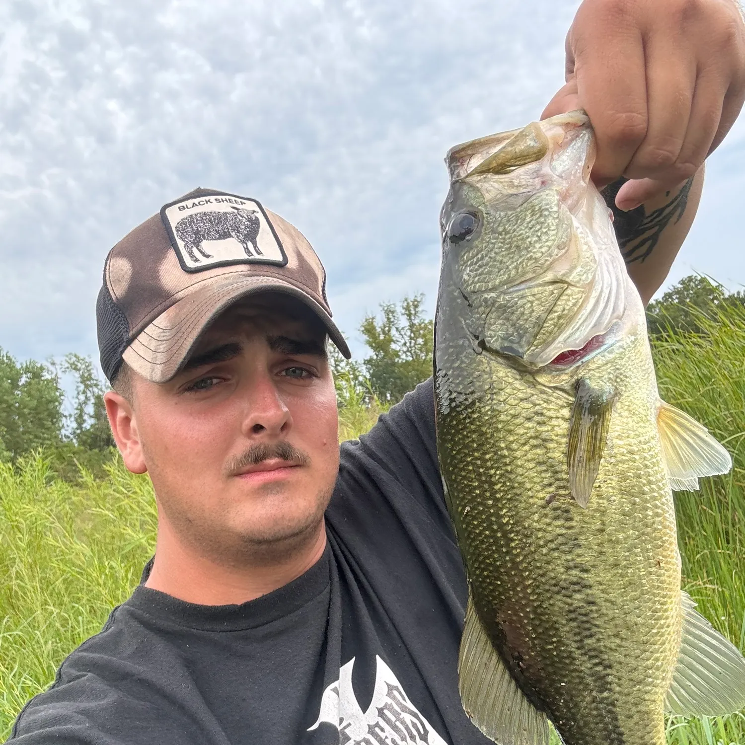 Largemouth bass caught on Fishbrain
