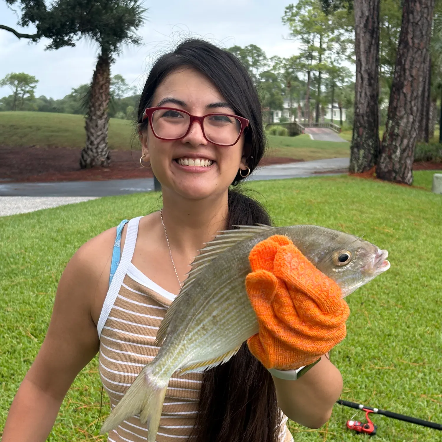 The most recent Pinfish catches on Fishbrain