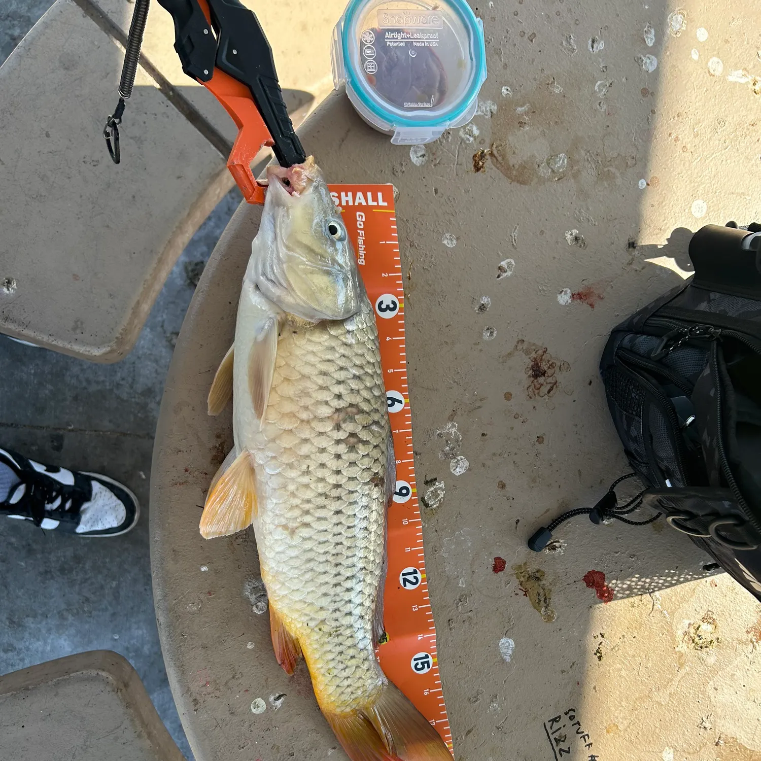 catch