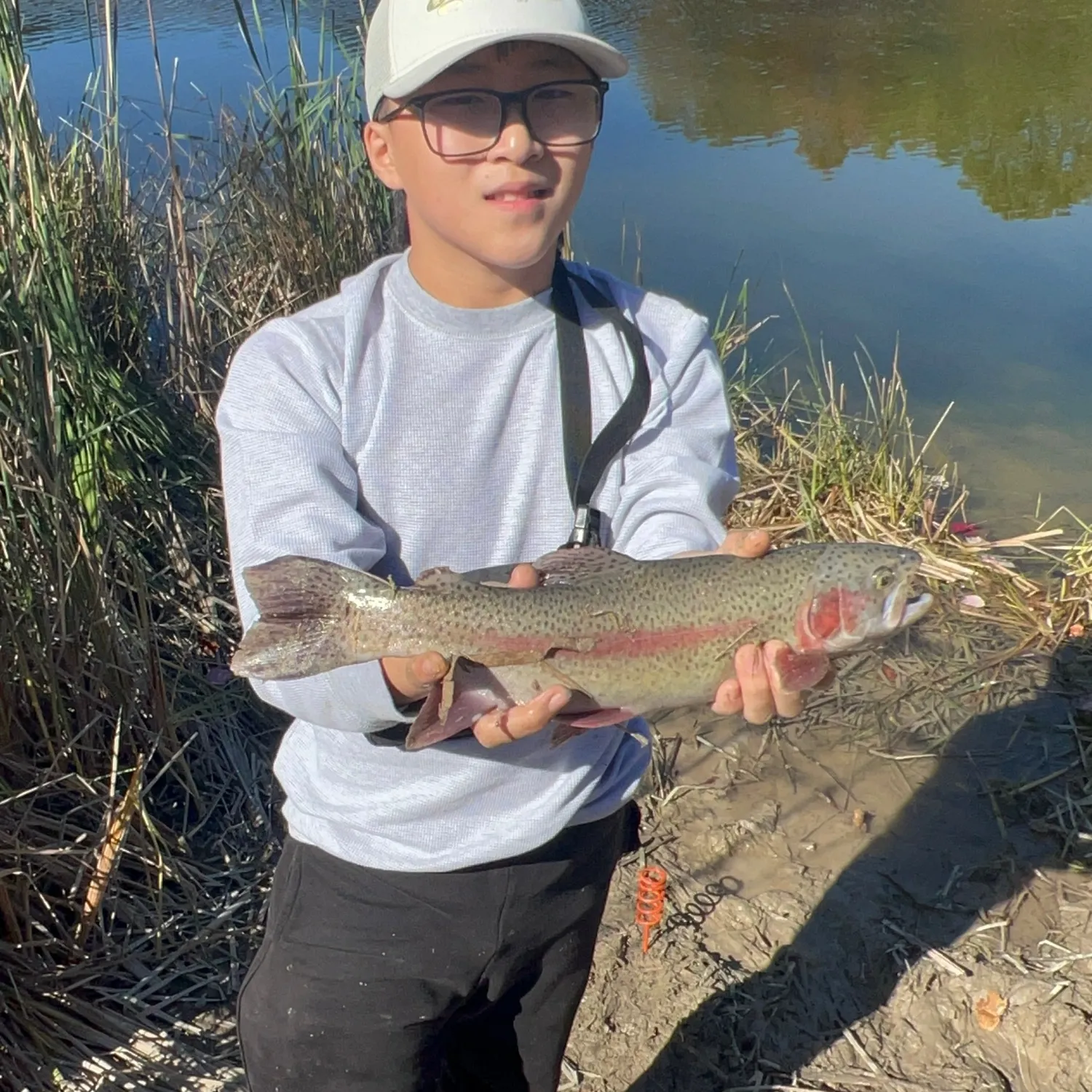 Rainbow trout caught on Fishbrain