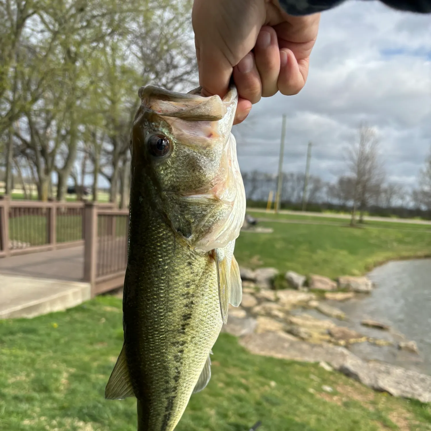 angler catch