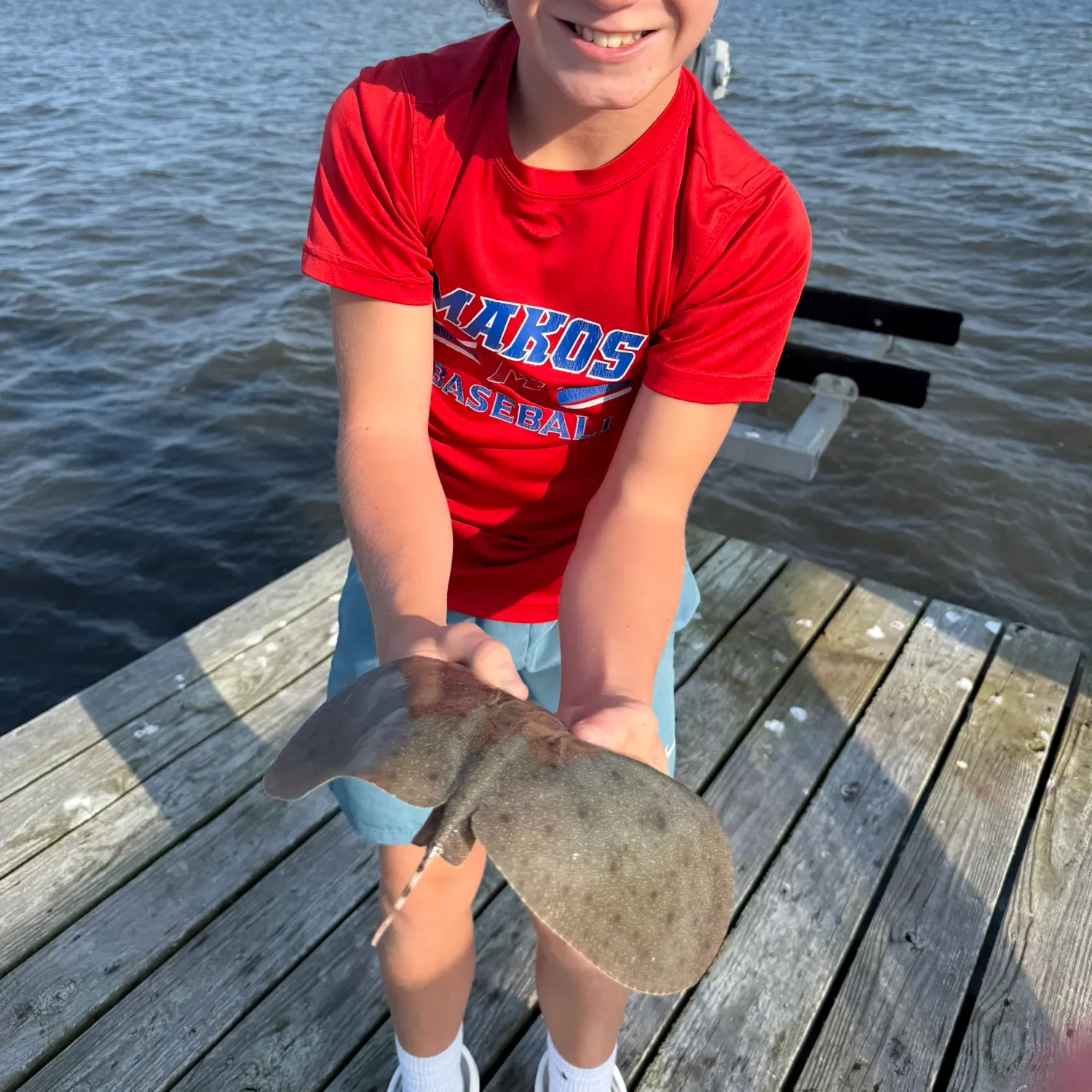 The most recent Backwater butterfly ray catches on Fishbrain