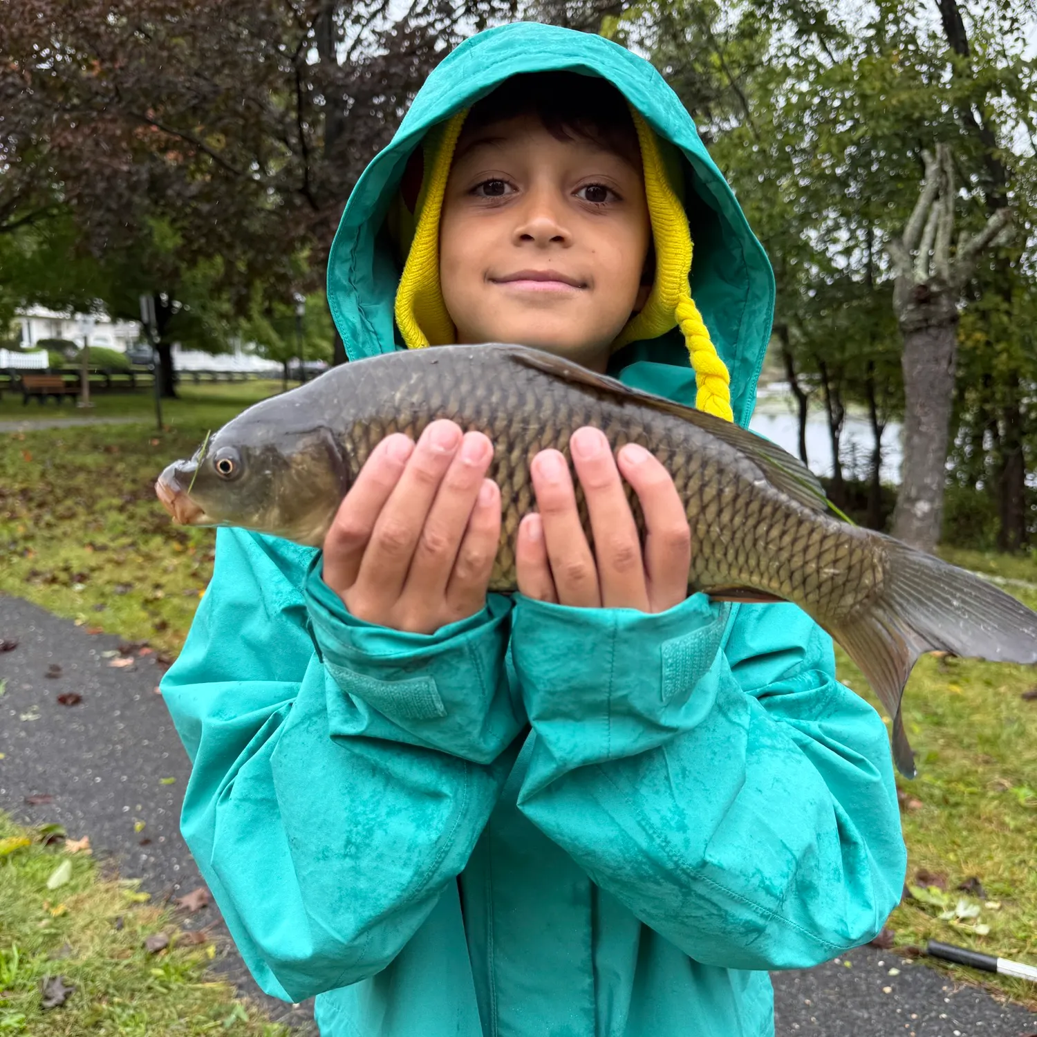 Common carp caught on Fishbrain