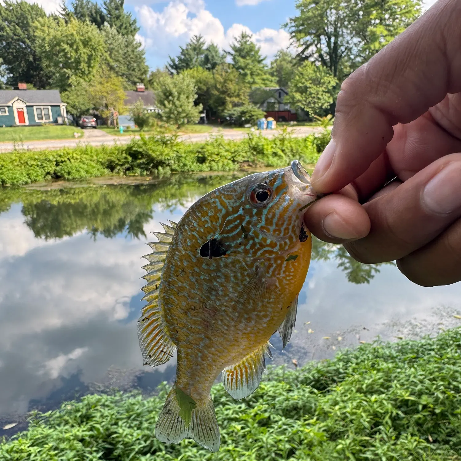 catch