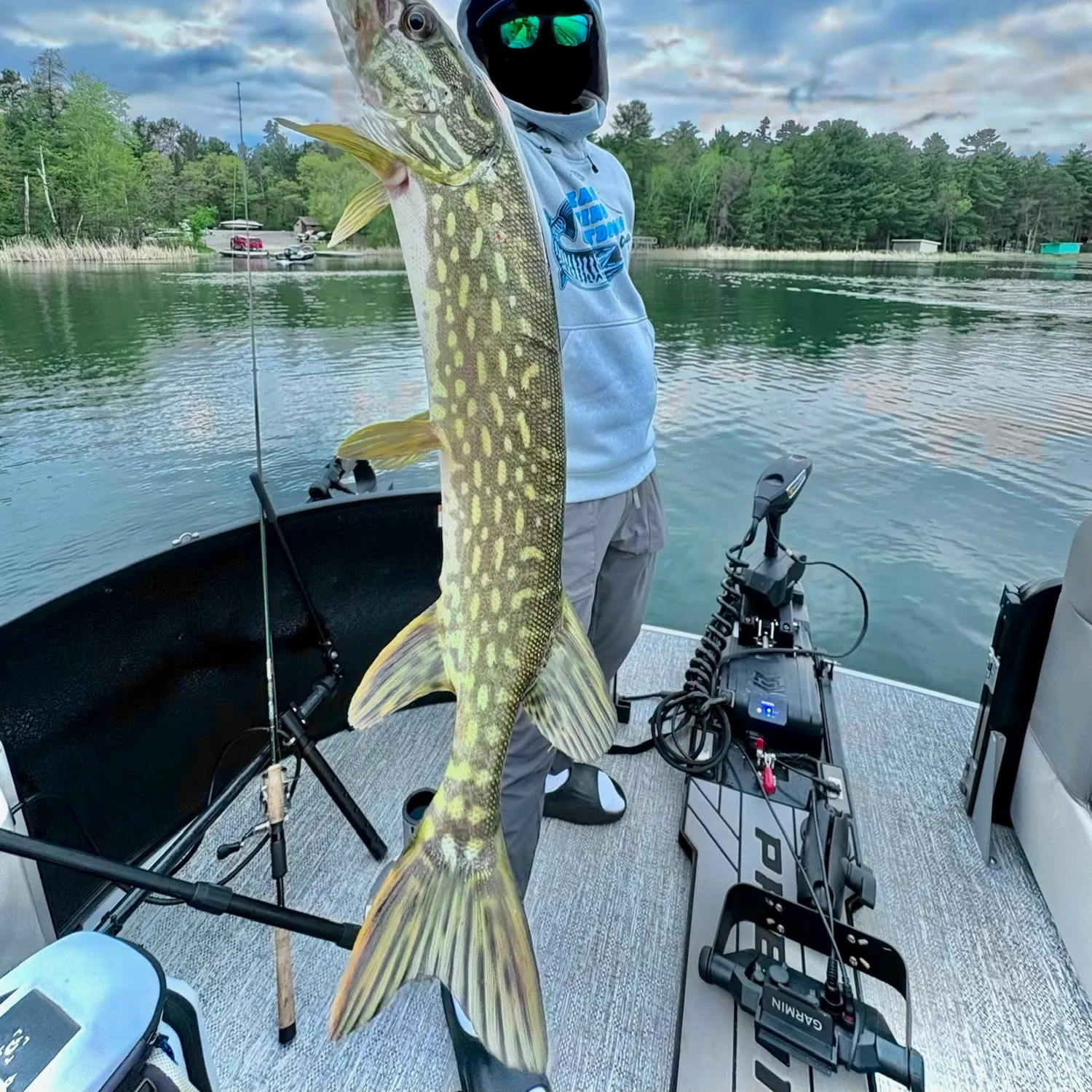 Northern pike caught on Fishbrain