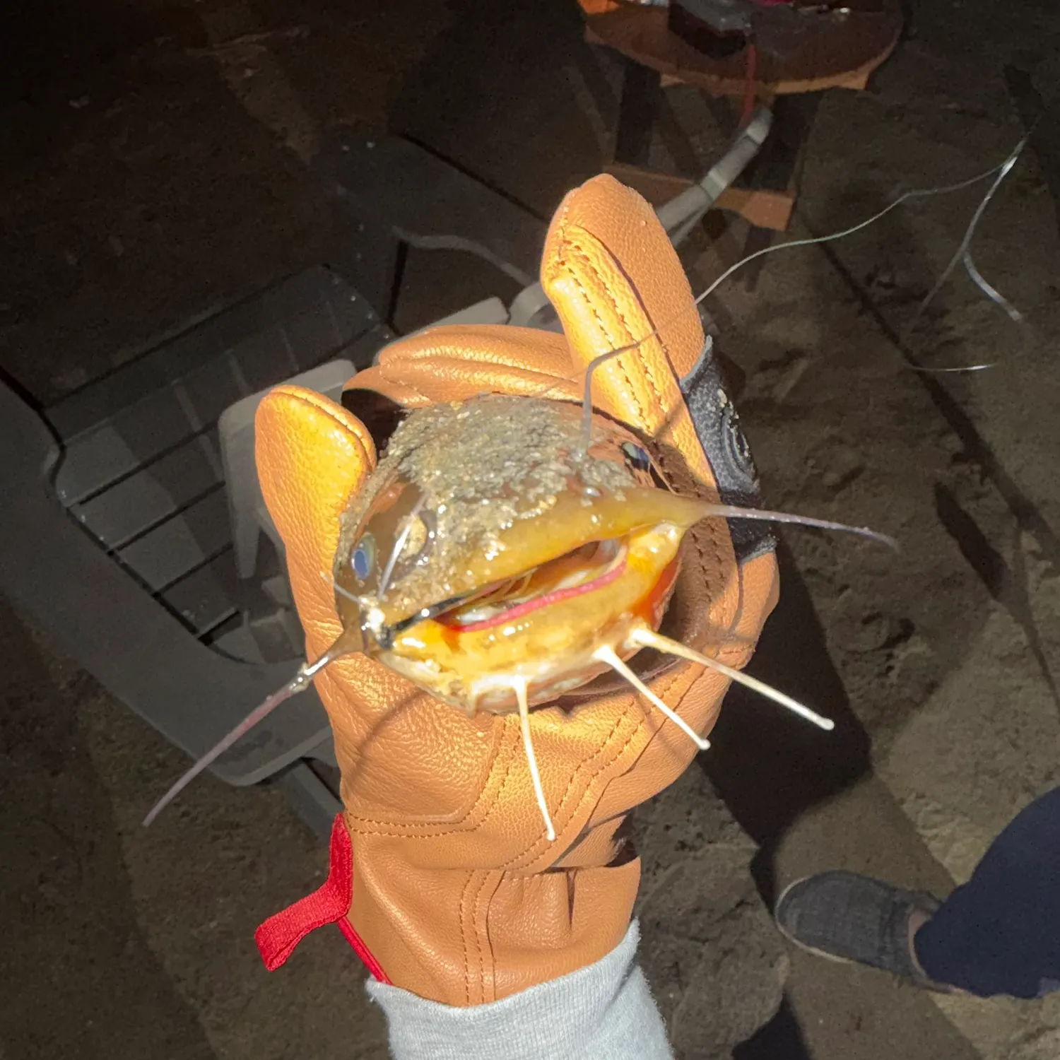 catch