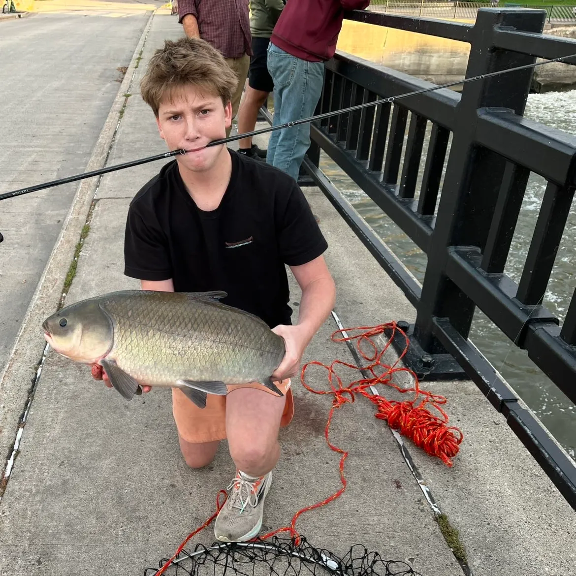 Bigmouth buffalo caught on Fishbrain