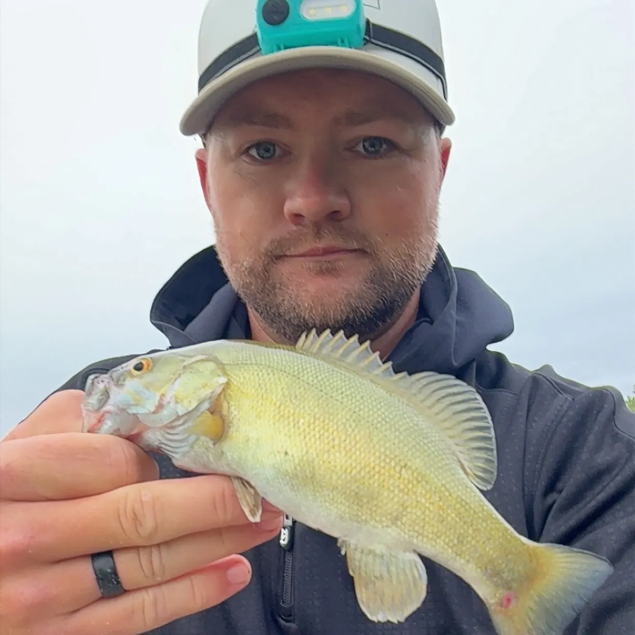 Smallmouth bass caught on Fishbrain