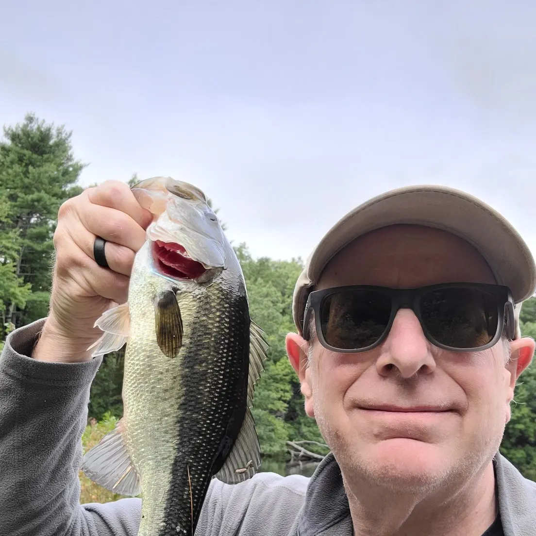 Largemouth bass caught on Fishbrain