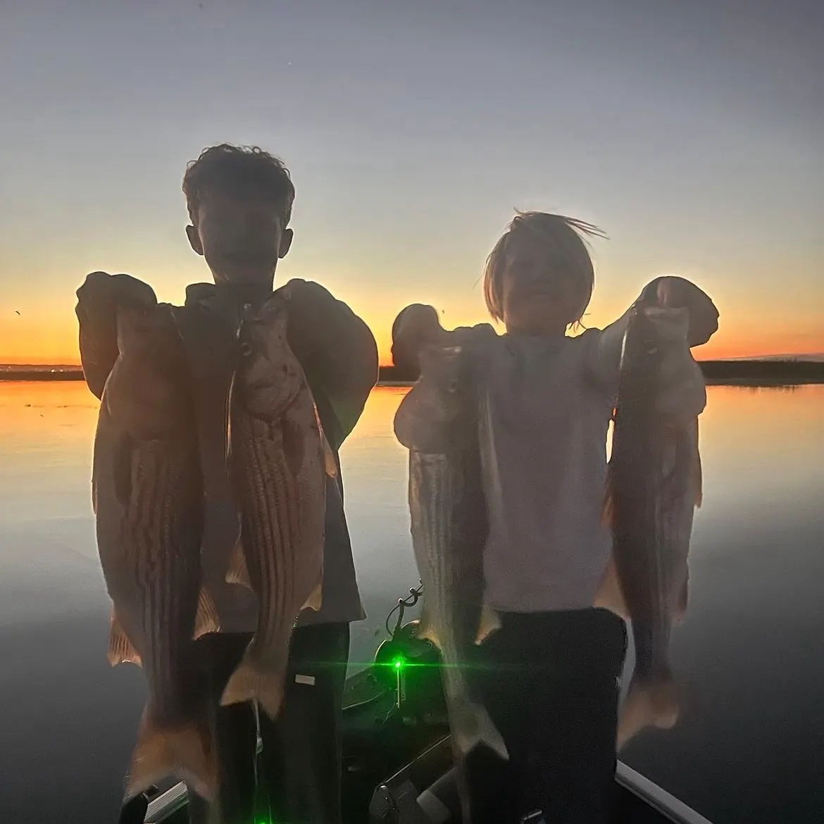 Striped bass caught on Fishbrain