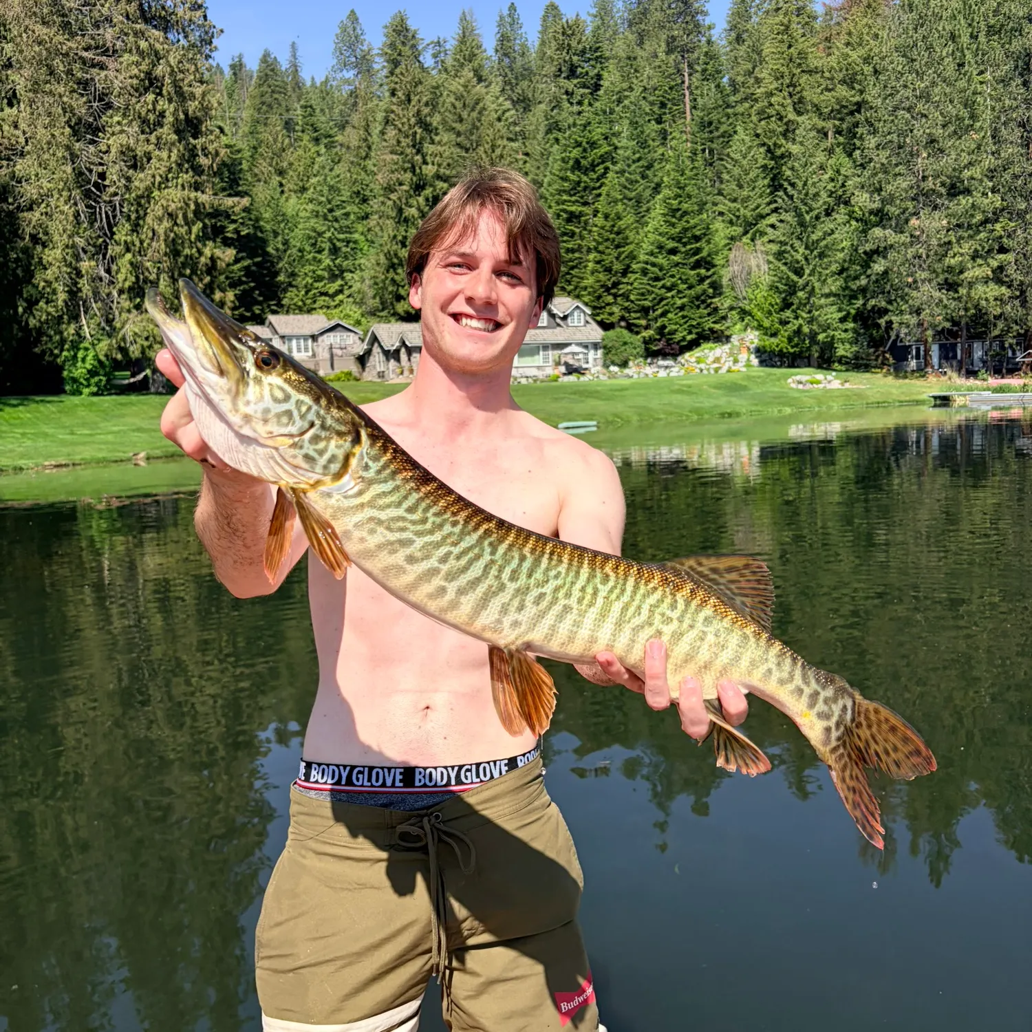 The most recent Tiger muskellunge catches on Fishbrain