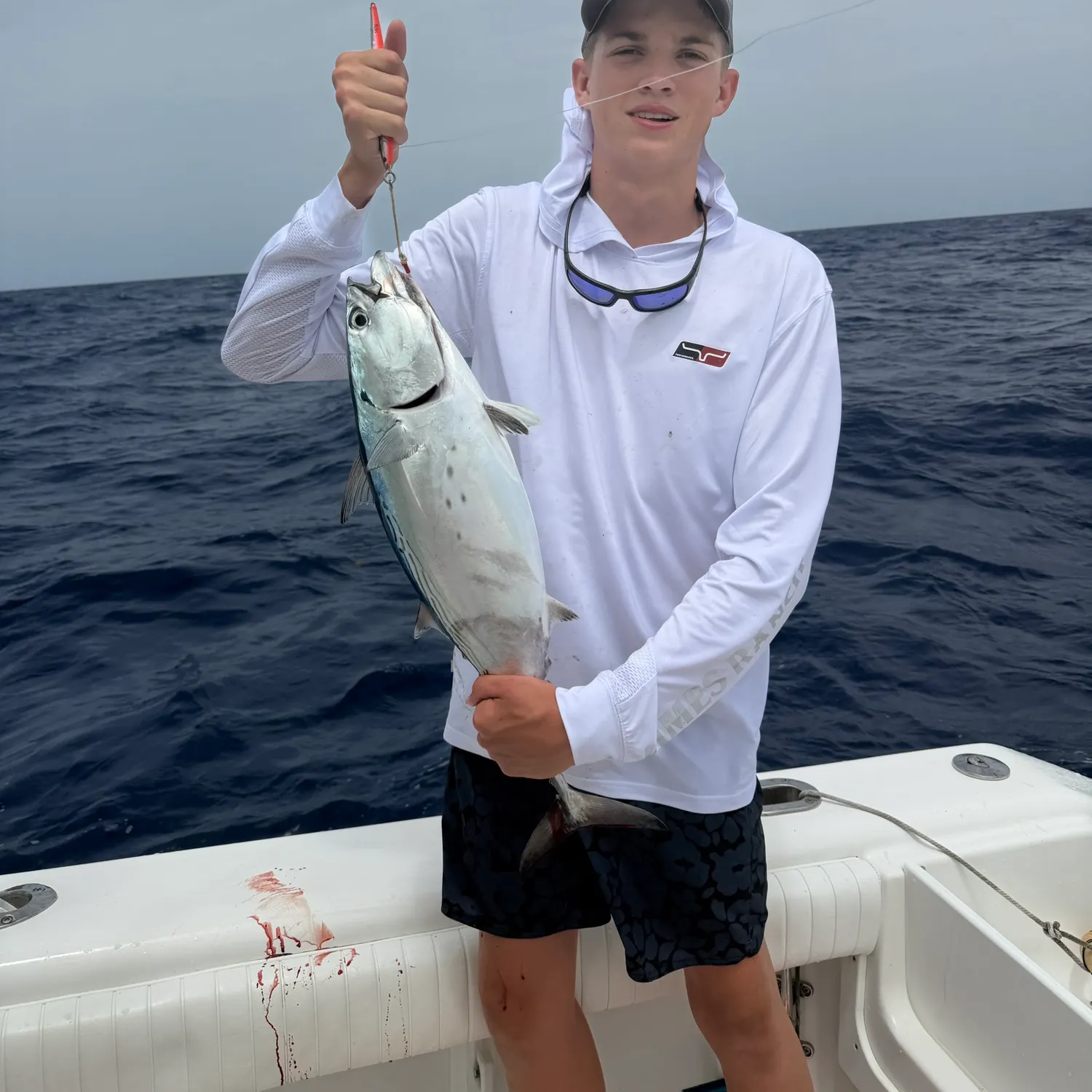 The most recent Plain bonito catches on Fishbrain