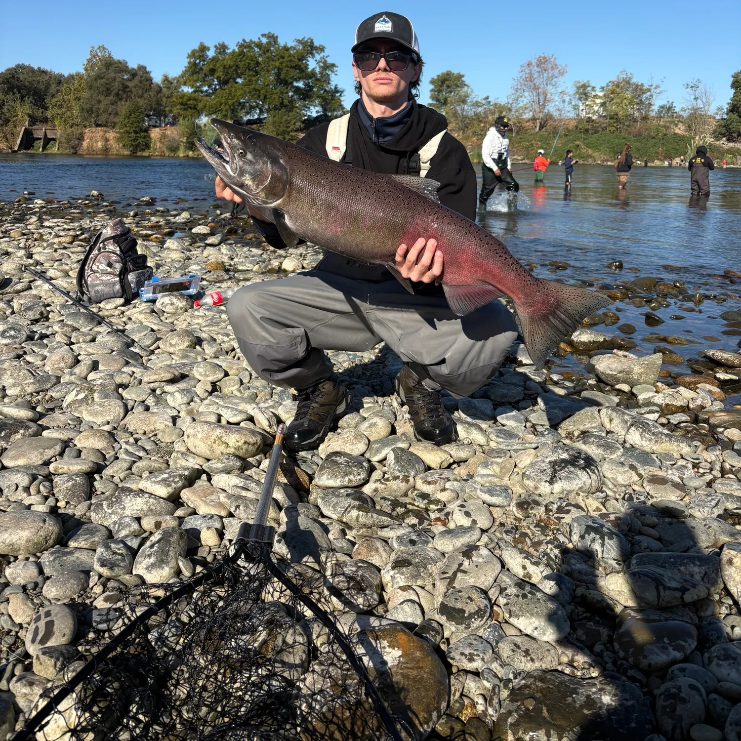 Chinook salmon caught on Fishbrain