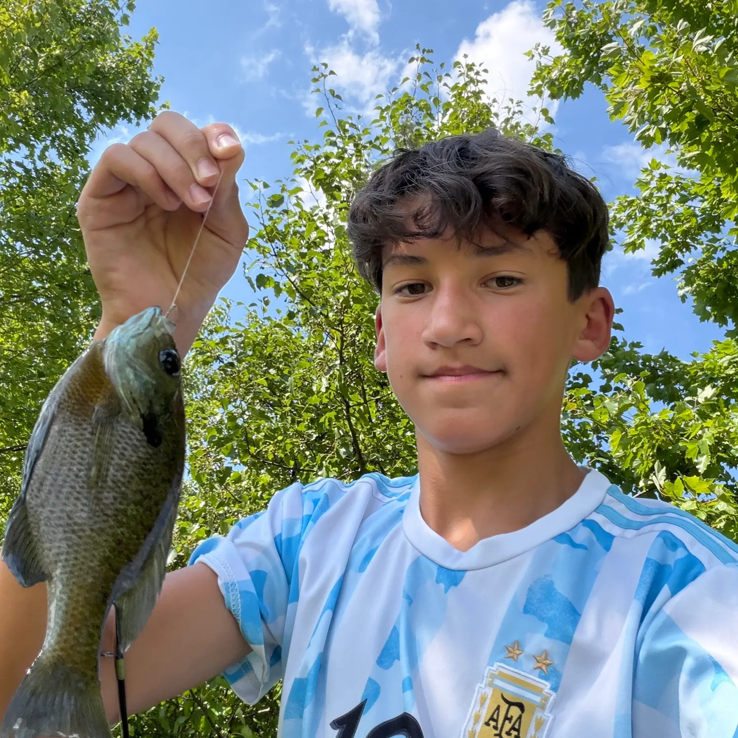 Bluegill caught on Fishbrain