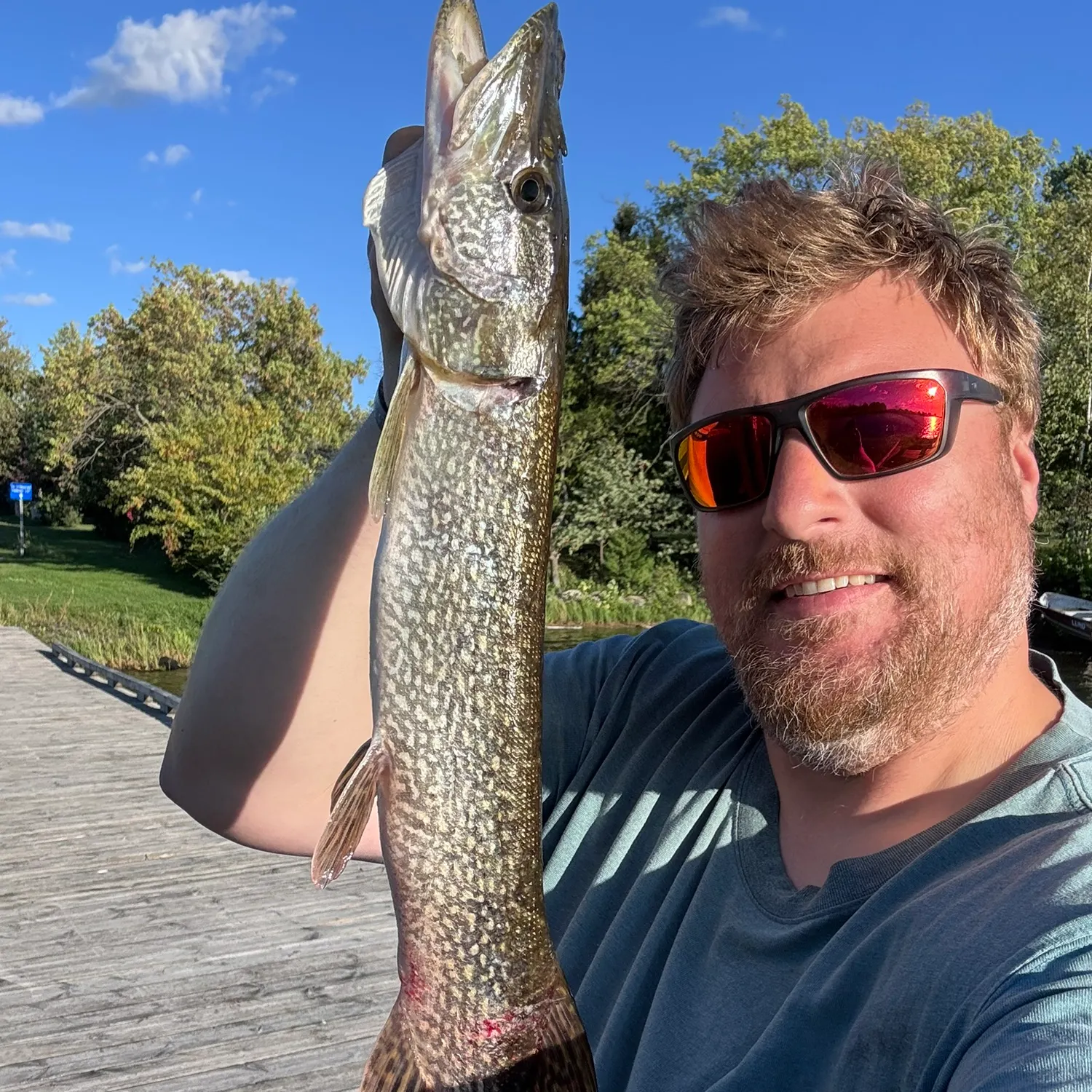 Northern pike caught on Fishbrain