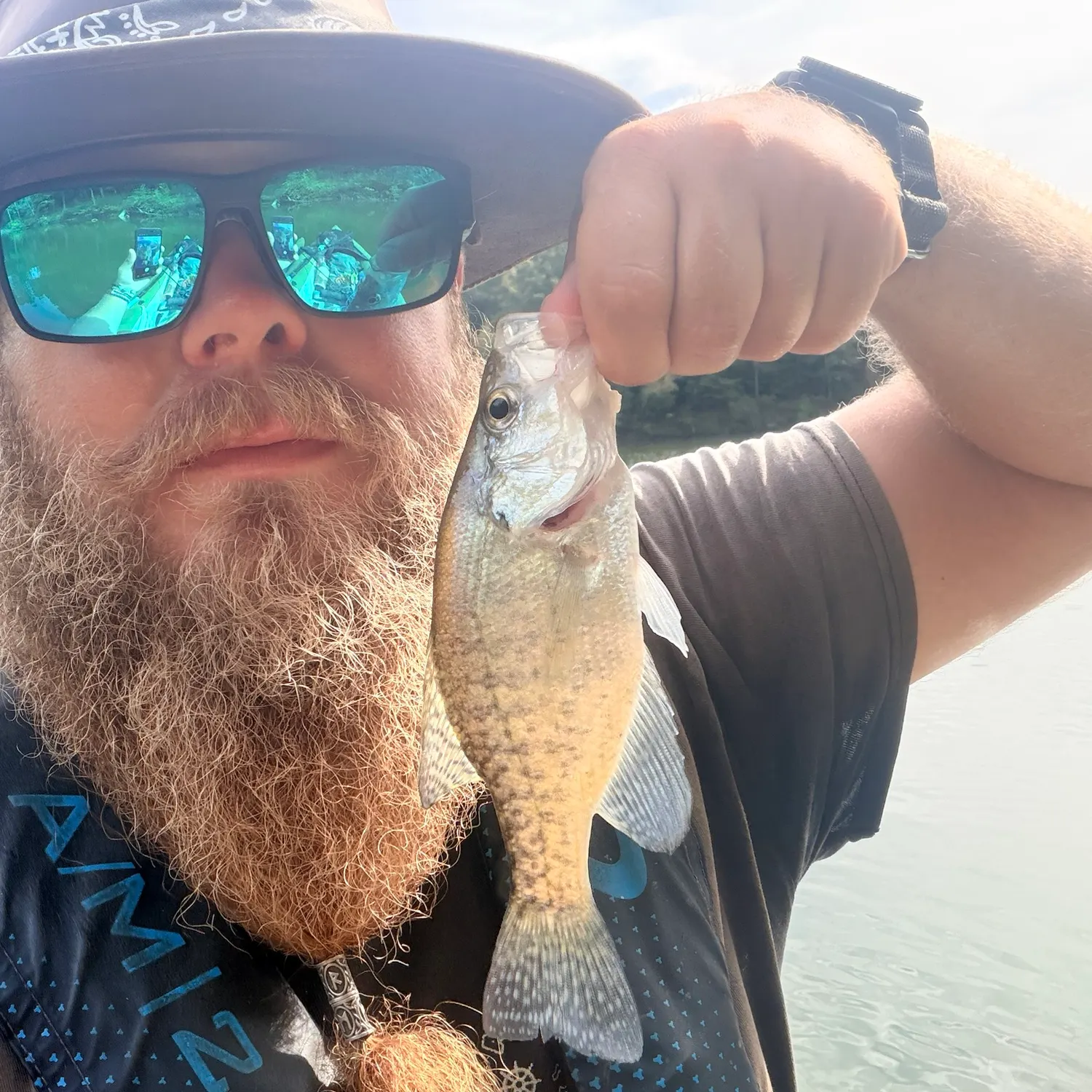 White crappie caught on Fishbrain