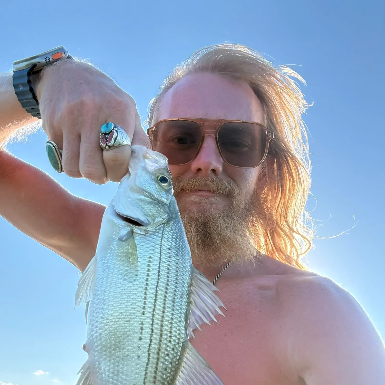 White bass caught on Fishbrain