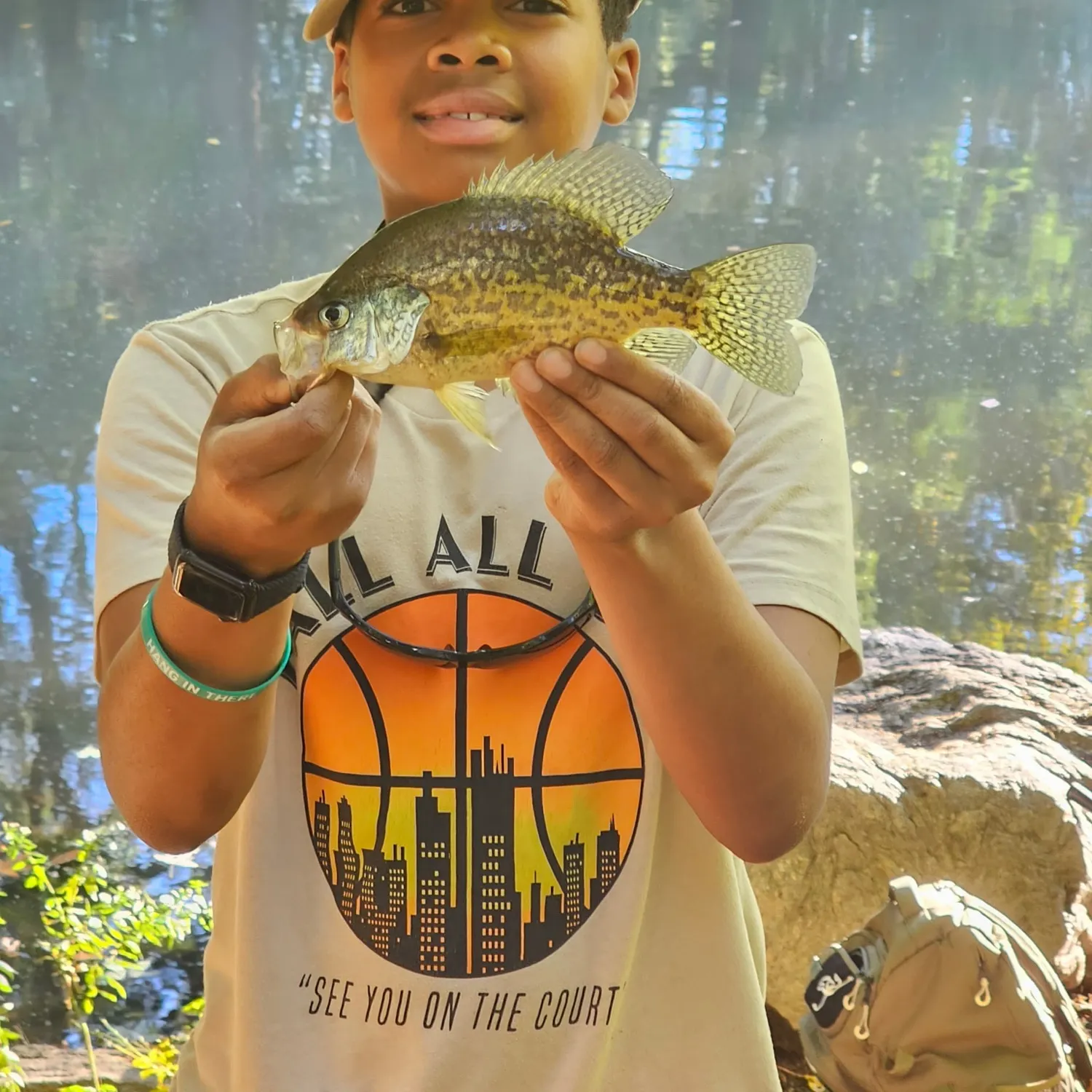 Black crappie caught on Fishbrain
