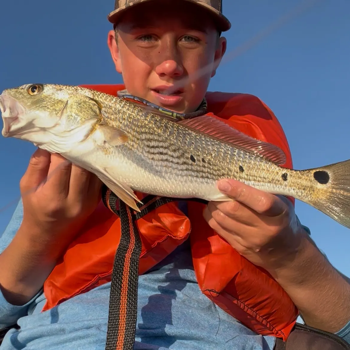 Red drum caught on Fishbrain