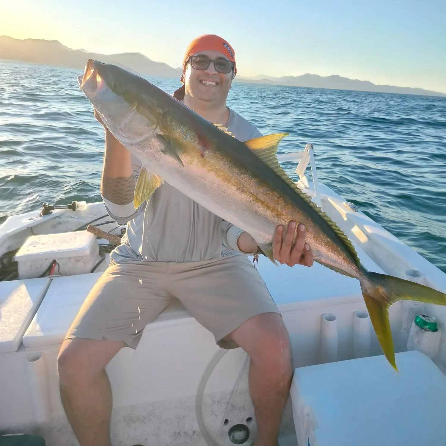 The most recent California yellowtail amberjack catches on Fishbrain