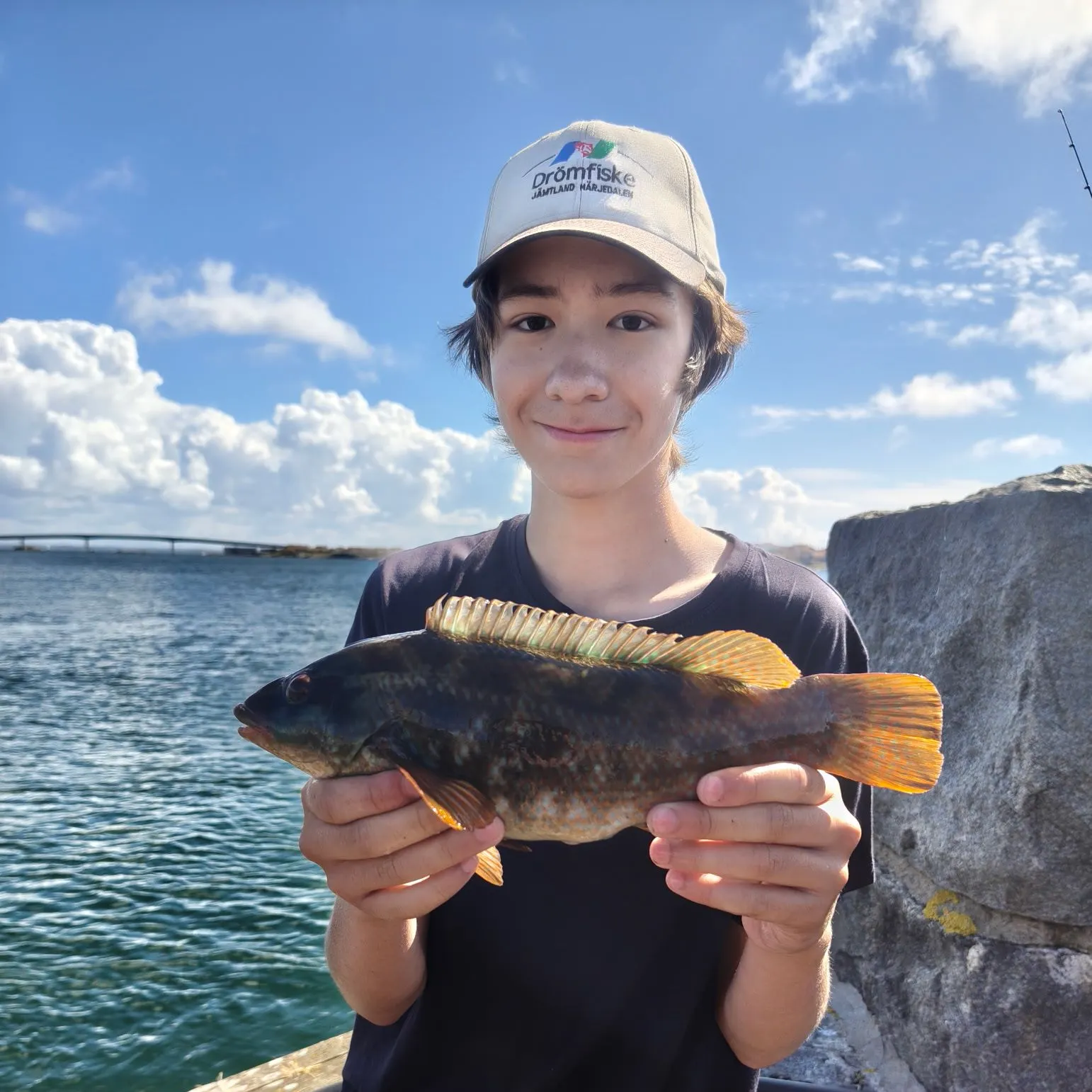 Ballan wrasse caught on Fishbrain