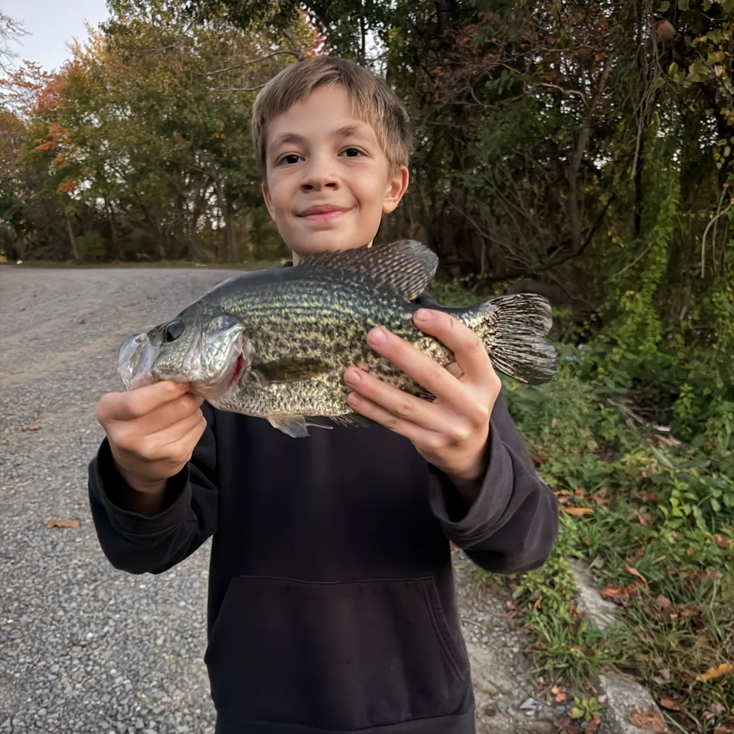 Black crappie caught on Fishbrain