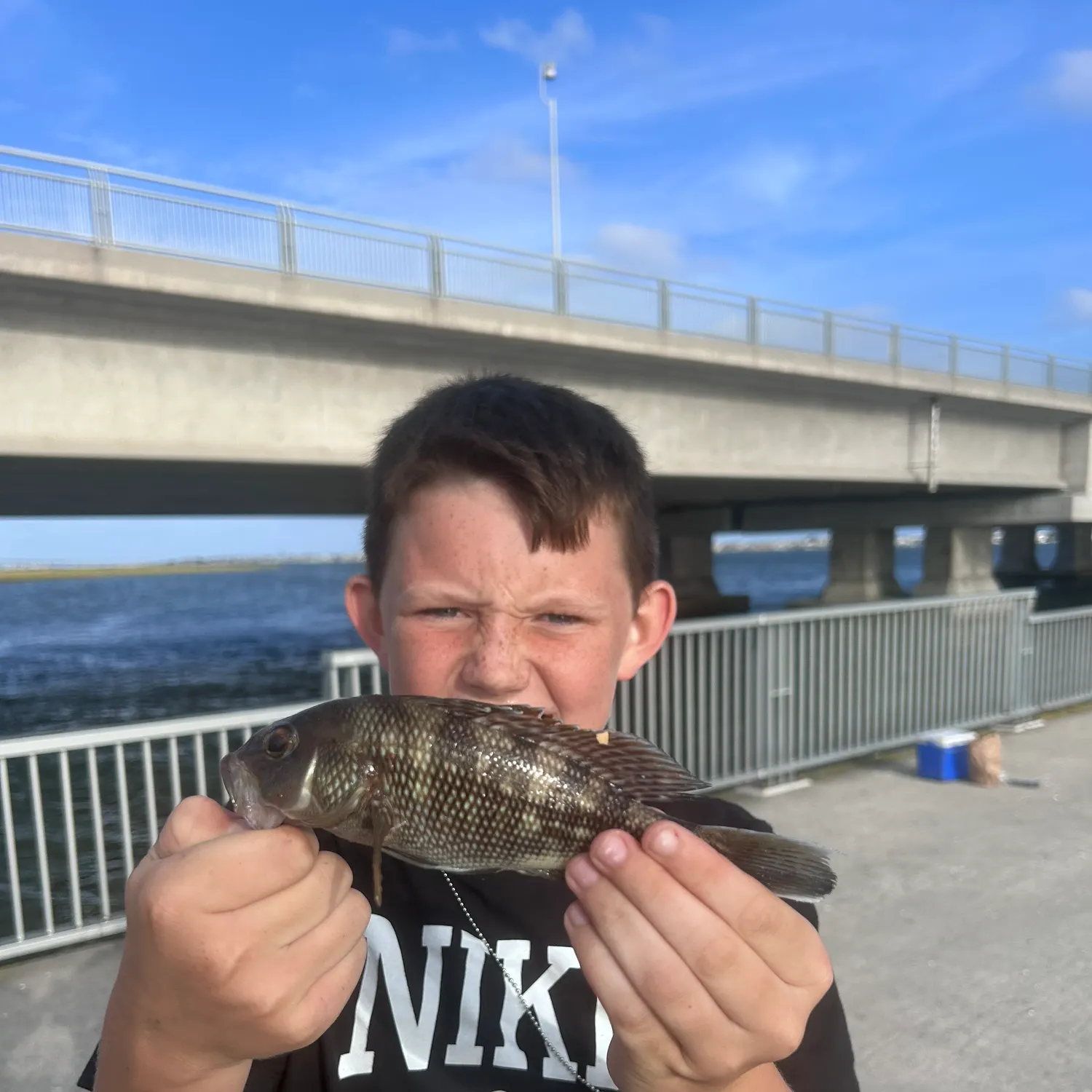 Black sea bass caught on Fishbrain