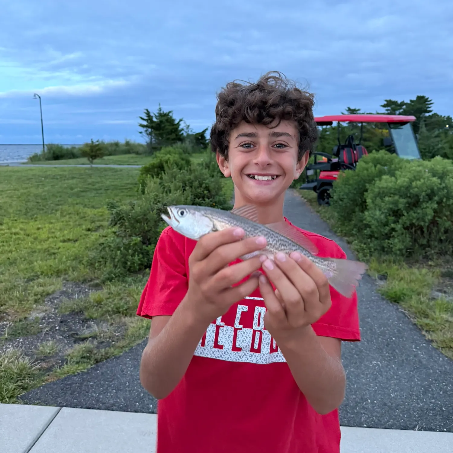 The most recent Silver seatrout catches on Fishbrain