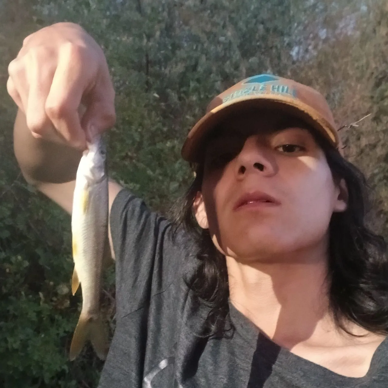 The most recent Northern pikeminnow catches on Fishbrain