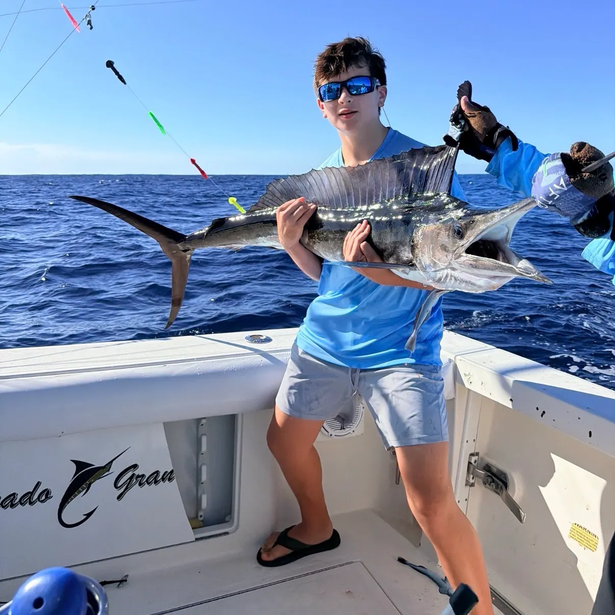 The most recent Striped marlin catches on Fishbrain