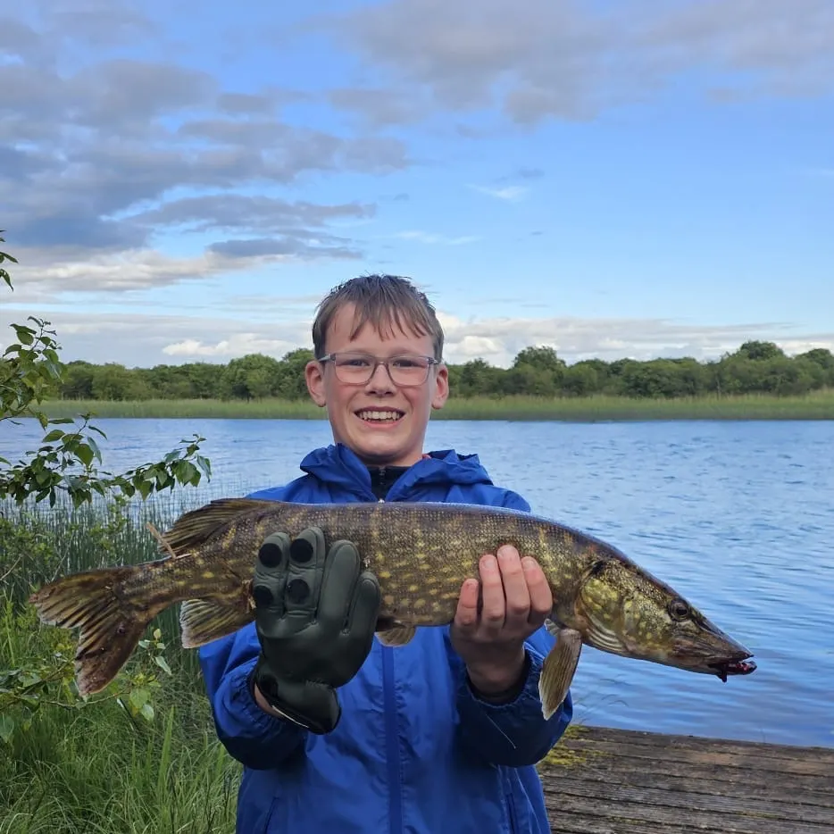 The most recent Northern pike catches on Fishbrain