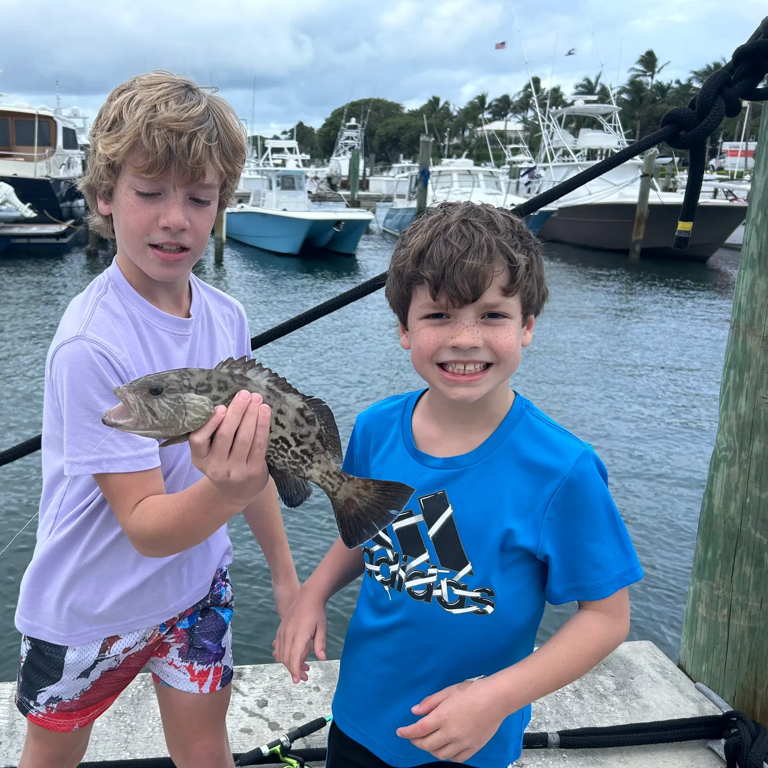 The most recent Gag grouper catches on Fishbrain