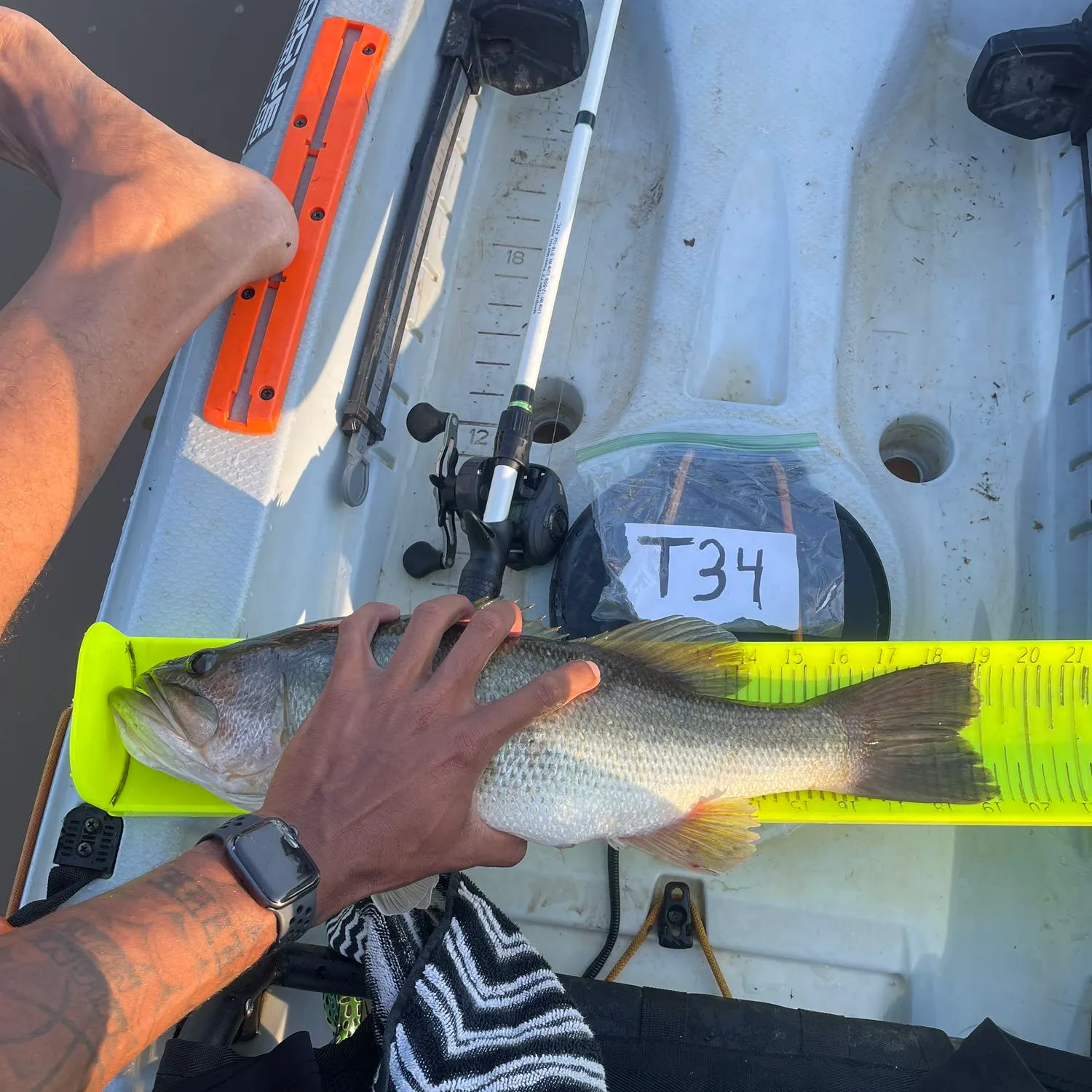 recently logged catches