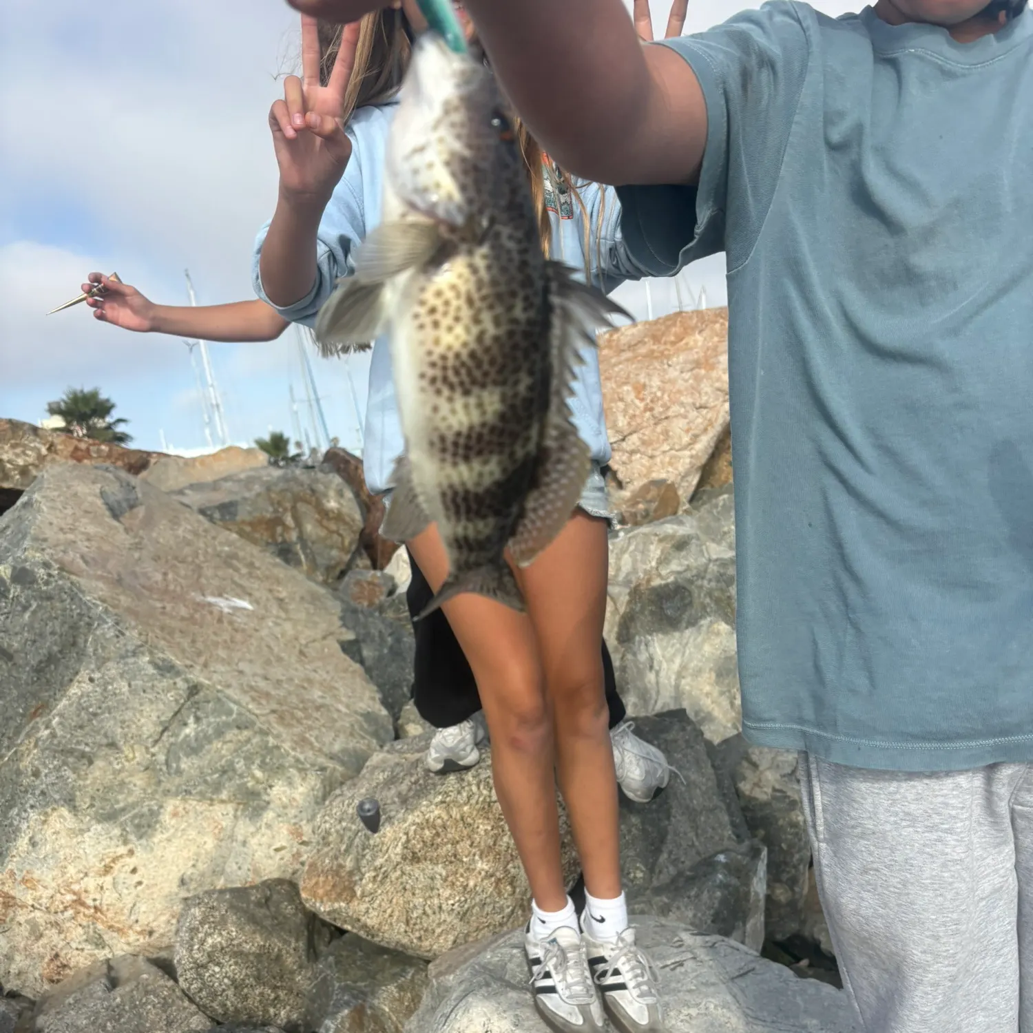 catch