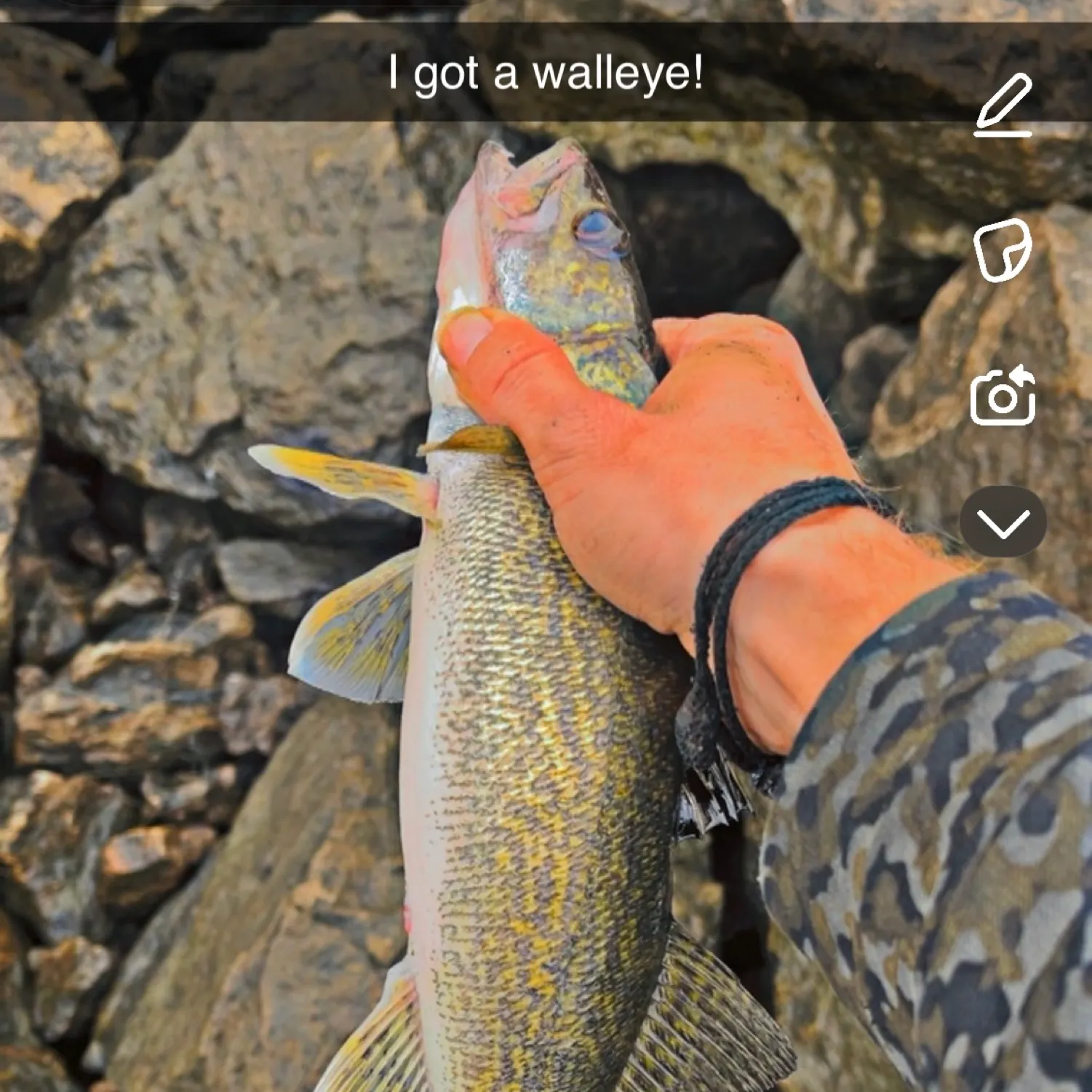 recently logged catches