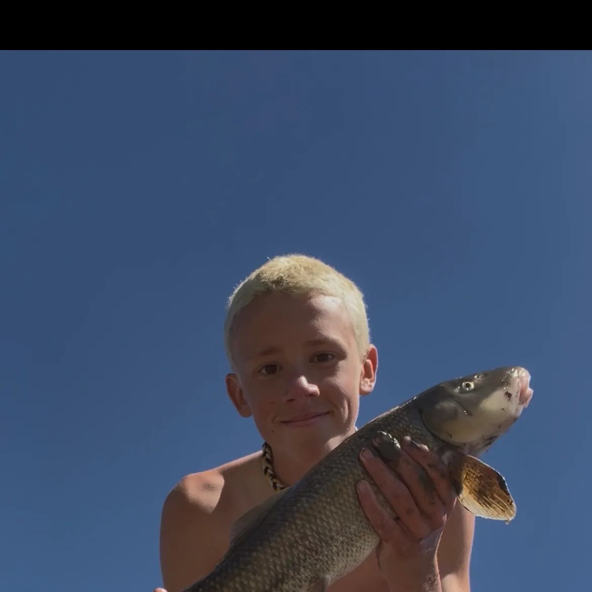 The most recent June sucker catches on Fishbrain