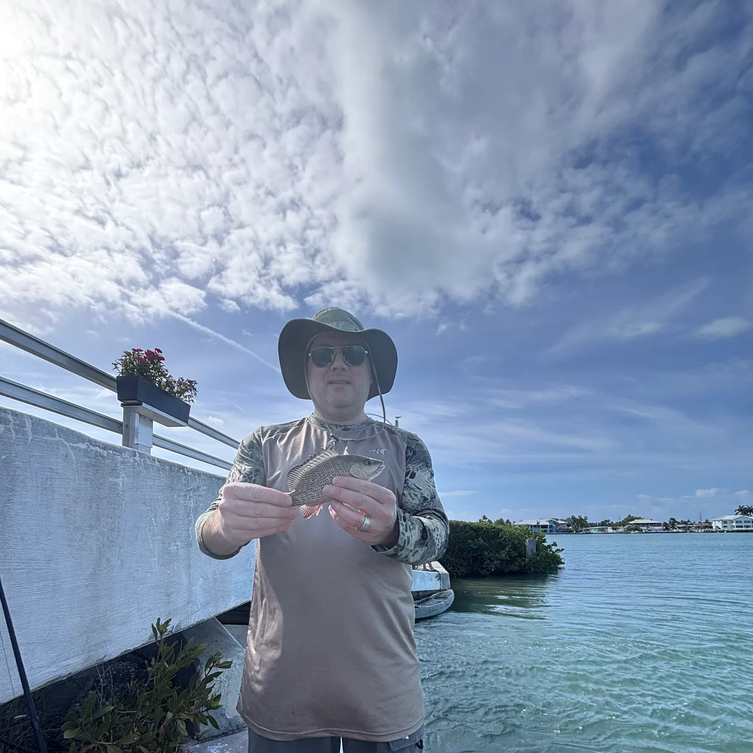 The most recent White grunt catches on Fishbrain