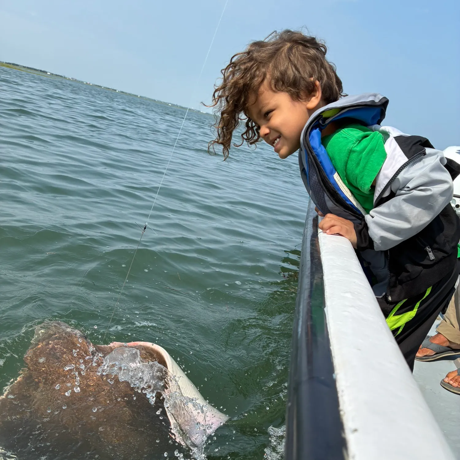 The most recent Bluntnose stingray catches on Fishbrain