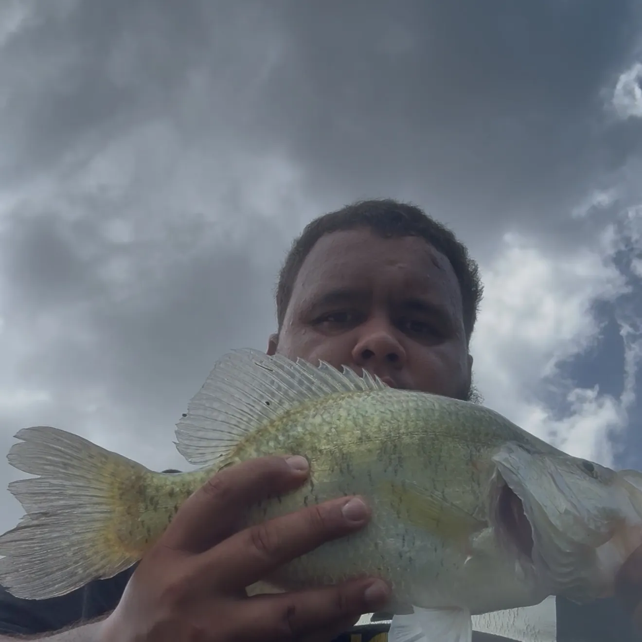 White crappie caught on Fishbrain