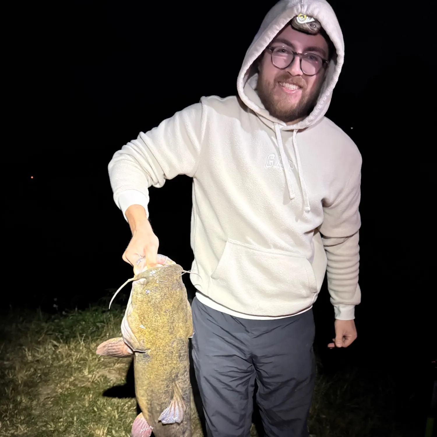 Flathead catfish caught on Fishbrain