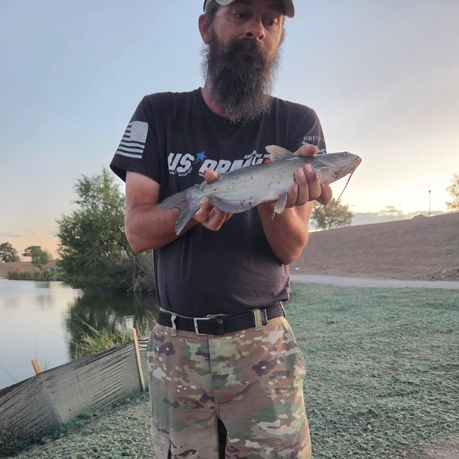 Channel catfish caught on Fishbrain